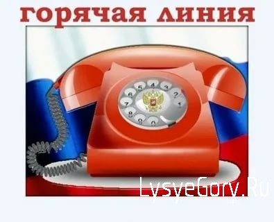 19 ноября состоится телефонная «прямая линия» с начальником ГУ МВД России по Саратовской области