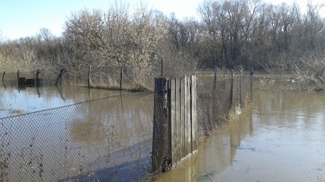Паводок в Лысогорском районе. За сутки вода поднялась на 25 сантиметров
