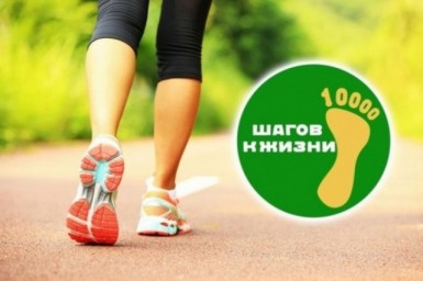 На экотропе "Лысогорье" пройдет акция "10 000 шагов к жизни" На экотропе "Лысогорье" пройдет акция "10 000 шагов к жизни"