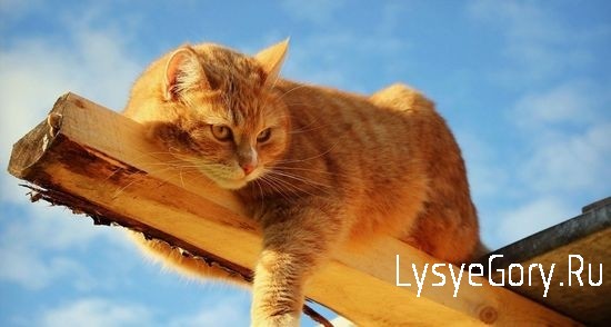 
Оперативный прогноз на 14 апреля 2021 года
