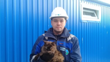 
Сотрудники Энгельсского мусоросортировочного комплекса спасли кошку
