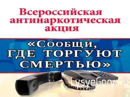 
В Лысогорском районе стартовала профилактическая акция &laquo;Сообщи, где торгуют смертью&raquo;

