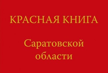  ​В этом году выходит третье издание Красной книги Саратовской области 