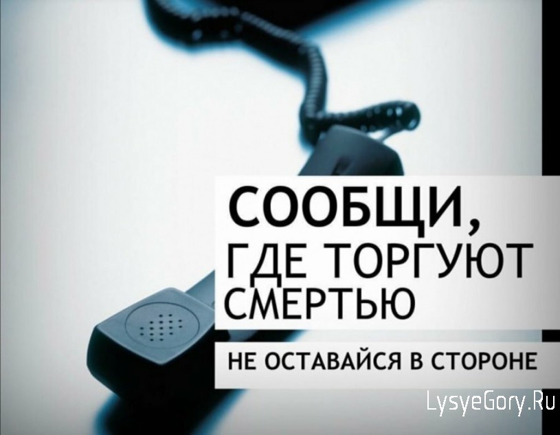В Саратовской области проходит акция «Сообщи, где торгуют смертью!»
В Саратовской области проходит акция «Сообщи, где торгуют смертью!»