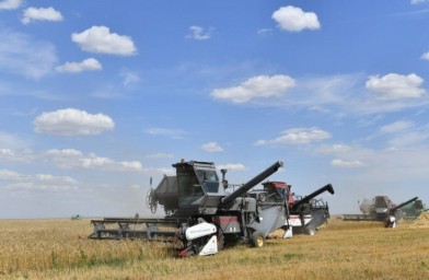 
​В Саратовской области собрано уже 3 млн тонн зерна

