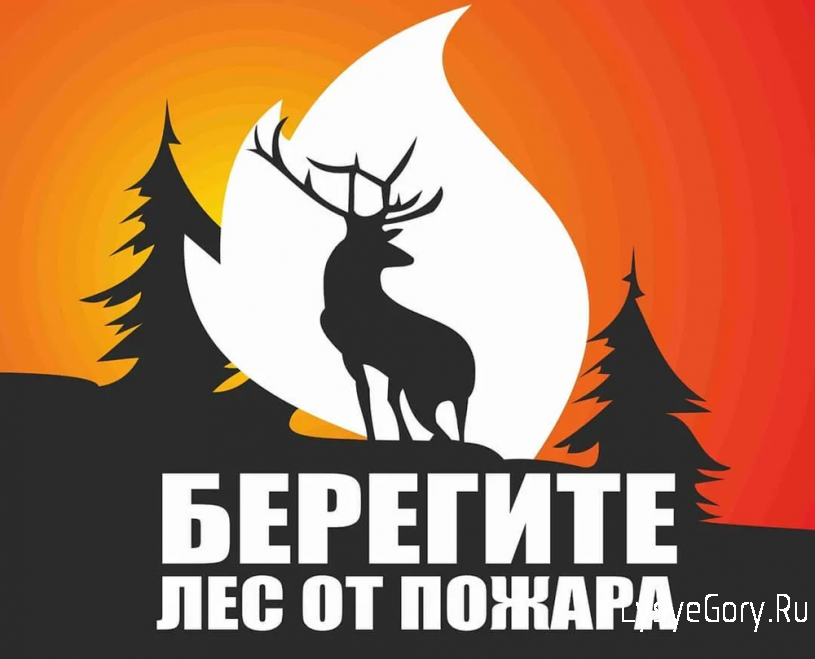 На территории области действует особый противопожарный режим
На территории области действует особый противопожарный режим