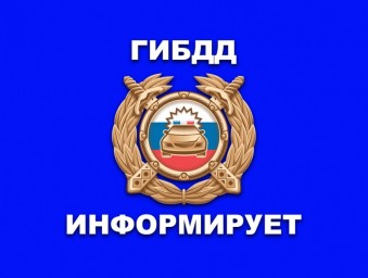 
РЭО Госавтоинпекции информирует о порядке получения консультаций по государственным услугам
