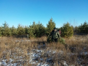 ​В предновогодние дни усилено патрулирование в лесах