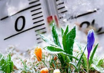 
Оперативный прогноз на 28 апреля 2021 года
