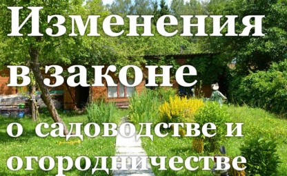 Год без дач: новый закон о садоводстве в действии