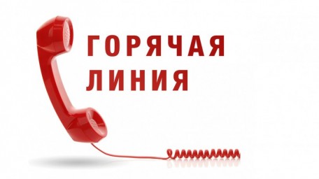 Горячая линия