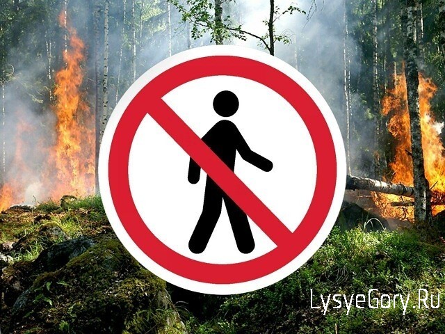 На территории Саратовской области действует ограничение пребывания граждан в лесах