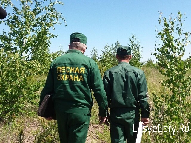 В лесах Саратовской области продолжается пожароопасный сезон