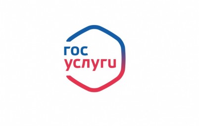 
Выписку о любой лицензии можно получить на портале &laquo;Госуслуги&raquo;
