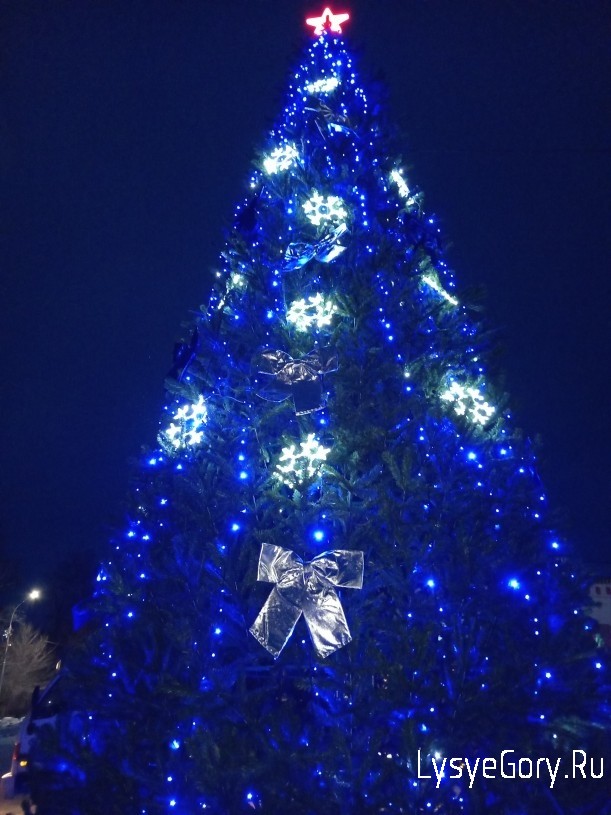 
В Лысых Горах пройдет мероприятие, посвященное открытию главной новогодней елки
