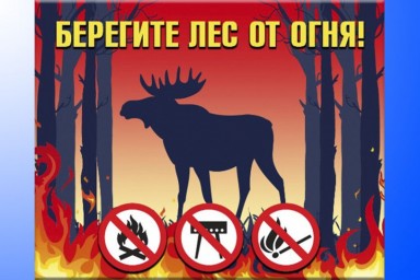 Берегите лес от огня!