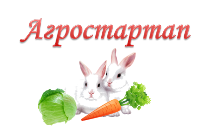 20 февраля 2023 года стартовал прием заявок на участие в конкурсном отборе на предоставление грант
20 февраля 2023 года стартовал прием заявок на участие в конкурсном отборе на предоставление грант