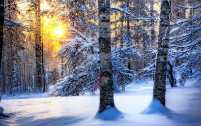 
Оперативный прогноз на 11 марта 2021 года
