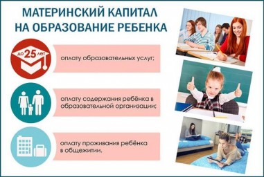 
Более 500 миллионов рублей на обучение детей региона
