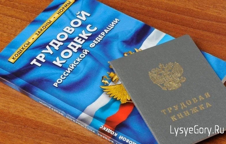 
Прокуратура Лысогорского района разъясняет об имеющихся ограничениях для лиц, имеющих судимость в 