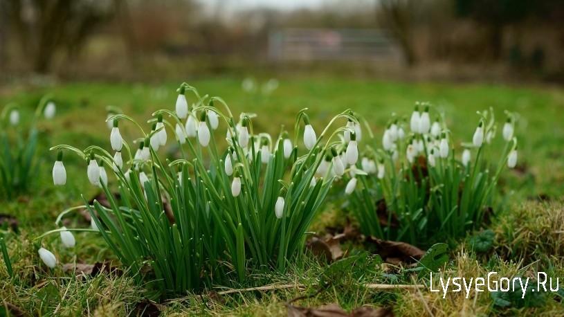 Оперативный прогноз 25 марта 2023 года
Оперативный прогноз 25 марта 2023 года