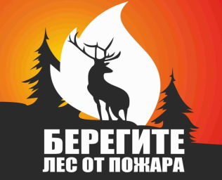 
На территории области действует особый противопожарный режим
