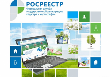 
ЕЭКО, ЕГРН, ЕИР - узнайте, что полезного скрывается за этими буквами!
