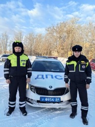 
​В Лысогорском районе сотрудники госавтоинспекции помогли водителю выбраться из снежного плена
