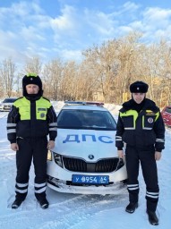 
​В Лысогорском районе сотрудники госавтоинспекции помогли водителю выбраться из снежного плена
