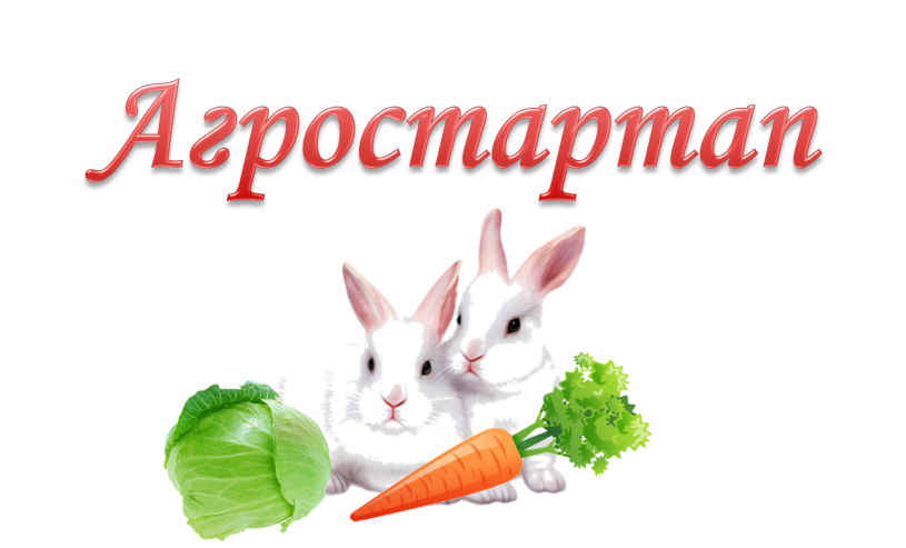 20 февраля 2023 года стартовал прием заявок на участие в конкурсном отборе на предоставление грант
20 февраля 2023 года стартовал прием заявок на участие в конкурсном отборе на предоставление грант