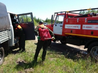 На территории Лысогорского лесничества прошла учебная тренировка по обнаружению и тушению лесного по На территории Лысогорского лесничества прошла учебная тренировка по обнаружению и тушению лесного по