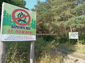 На территории Саратовской области введен режим ограничения пребывания граждан в лесах
На территории Саратовской области введен режим ограничения пребывания граждан в лесах