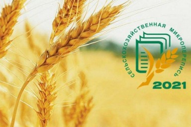 
Сельскохозяйственная микроперепись 2021
