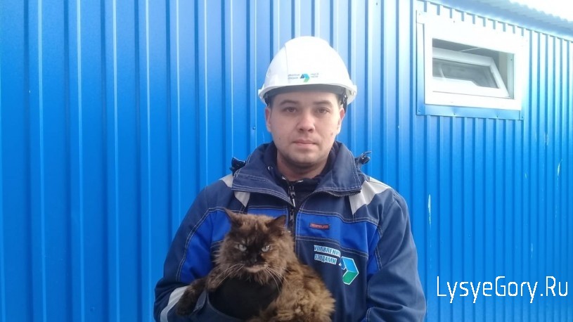 
Сотрудники Энгельсского мусоросортировочного комплекса спасли кошку
