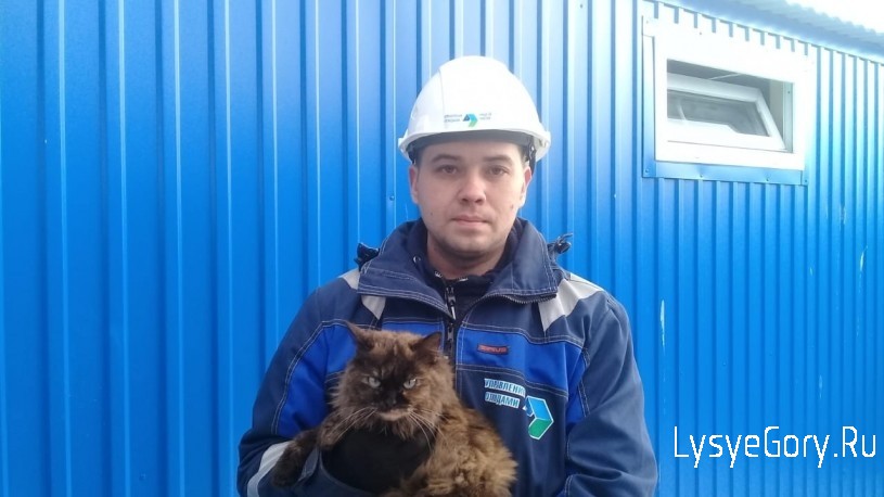 Сотрудники Энгельсского мусоросортировочного комплекса спасли кошку
Сотрудники Энгельсского мусоросортировочного комплекса спасли кошку