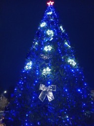 
В Лысых Горах пройдет мероприятие, посвященное открытию главной новогодней елки
