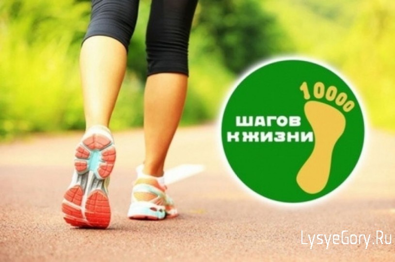 На экологической тропе "Лысогорье" пройдёт акция "10 000 шагов к жизни"
На экологической тропе "Лысогорье" пройдёт акция "10 000 шагов к жизни"
