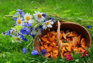 
Оперативный прогноз на 5 августа 2023 года
