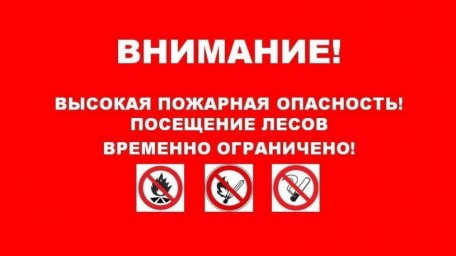 
В Саратовской области введены ограничения пребывания граждан в лесах
