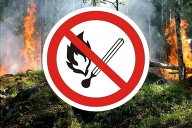 
В Саратовской области начался противопожарный режим
