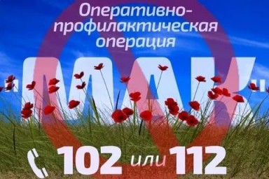 Операция &laquo;Мак - 2020&raquo;
