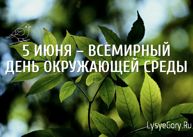 
​5 июня - Всемирный День окружающей среды
