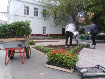 
​В Лысых Горах ведутся работы по озеленению цветников и клумб
