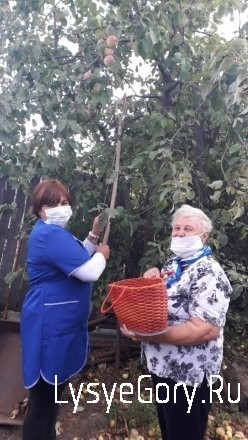 В Лысогорском районе проходит акция "Урожайная грядка"