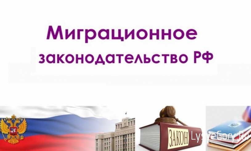 Профилактика преступлений и правонарушений в сфере миграционного законодательства
Профилактика преступлений и правонарушений в сфере миграционного законодательства