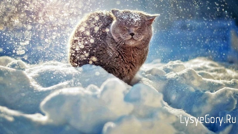 Оперативный прогноз погоды на 10 февраля 2021 года
Оперативный прогноз погоды на 10 февраля 2021 года