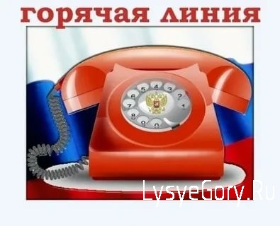 19 ноября состоится телефонная «прямая линия» с начальником ГУ МВД России по Саратовской области 19 ноября состоится телефонная «прямая линия» с начальником ГУ МВД России по Саратовской области
