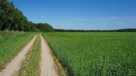 
Администрация Лысогорского муниципального района информирует граждан или крестьянские (фермерские)
