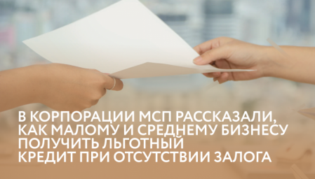В Корпорации МСП рассказали, как малому и среднему бизнесу получить льготный кредит при отсутствии
В Корпорации МСП рассказали, как малому и среднему бизнесу получить льготный кредит при отсутствии
