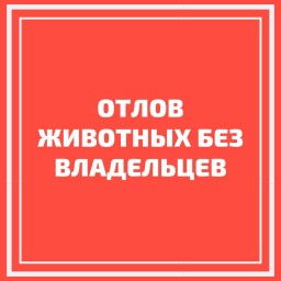 
16 мая в Лысых Горах будет производиться отлов собак без владельцев
